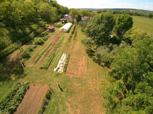 Carriage House Farm